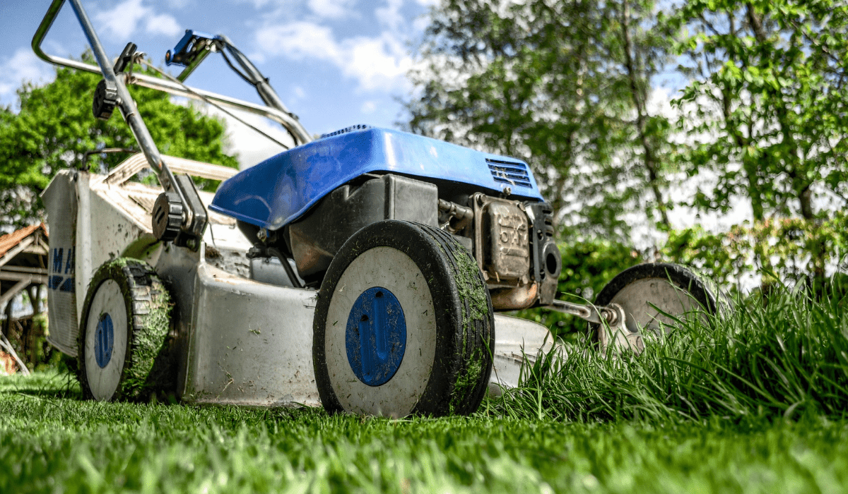 Maintaining Your Lawn During a Drought Sodlawn