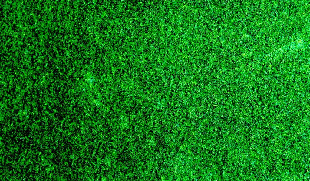 green sod