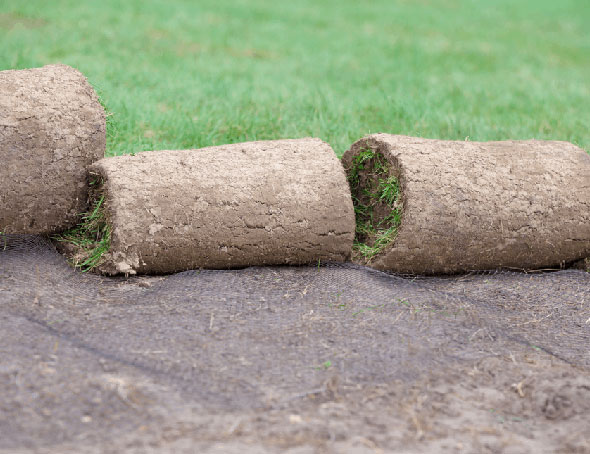 new sod care ontario