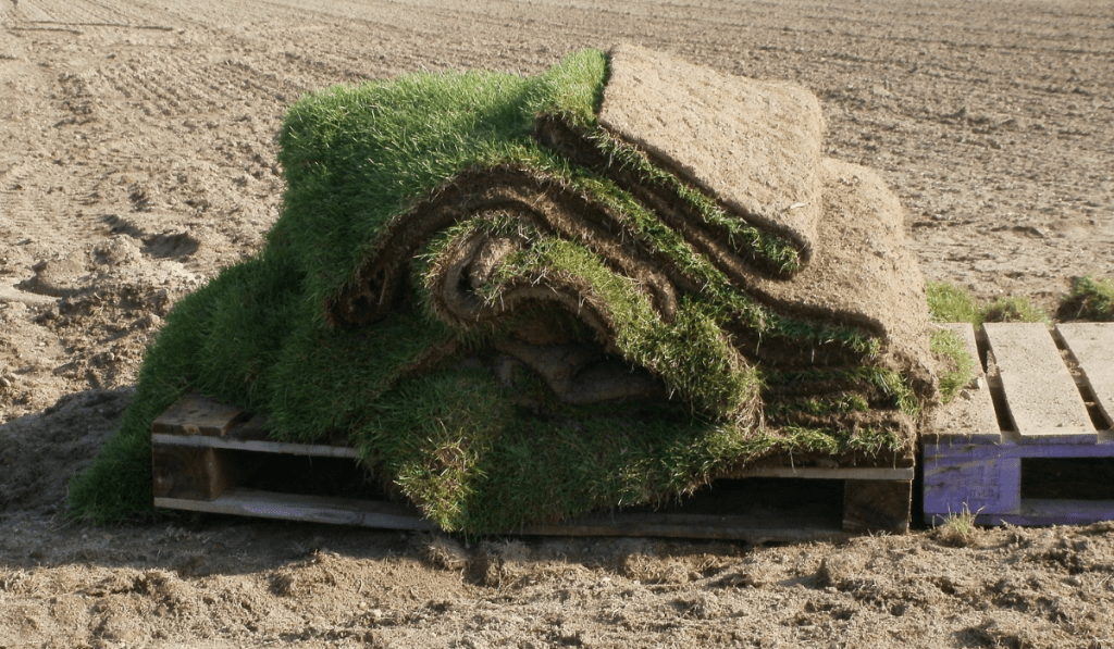 stack of sod patch