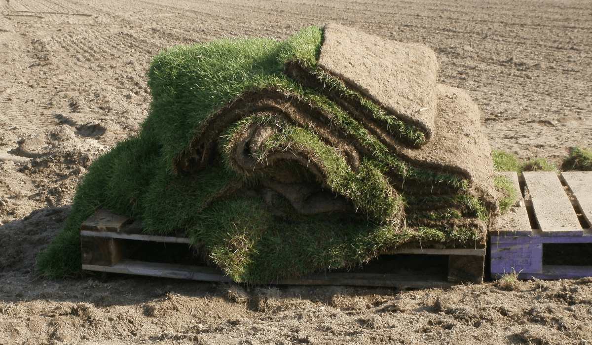 How to Use Sod to Patch Your Lawn Sodlawn