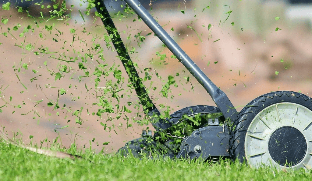 reel mower