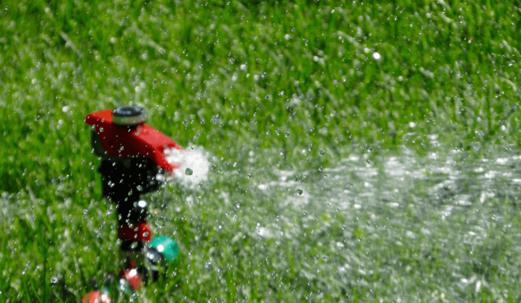 grass water sprayer