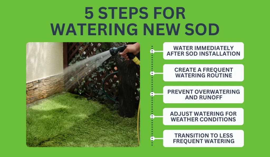 Steps for Watering New Sod