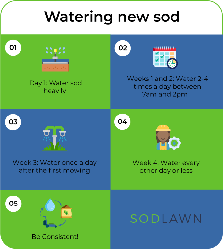 Watering New Sod 4 Weeks Schedule Sodlawn