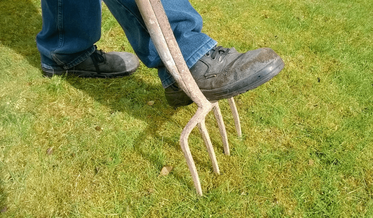 Why, How, And When You Should Aerate Your Lawn Sodlawn