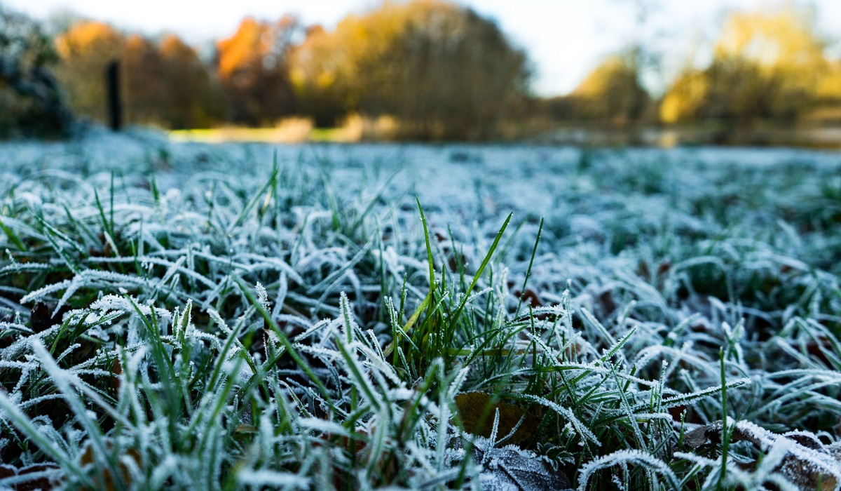 Watering Grass in Winter Sodlawn
