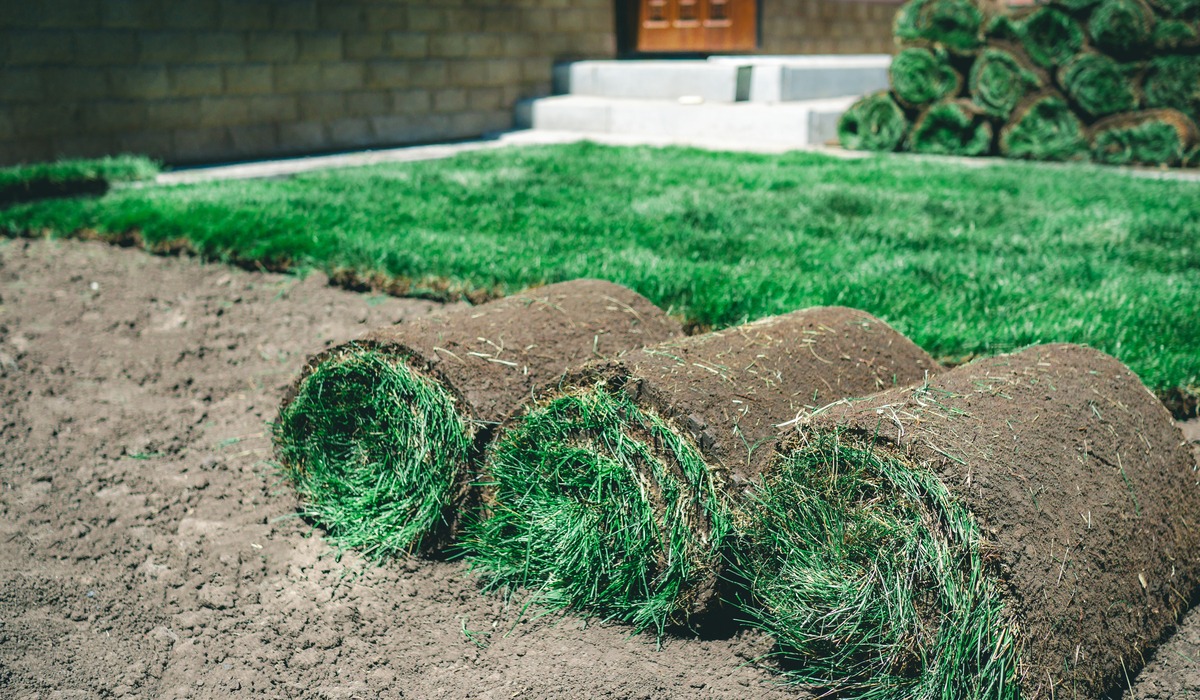 How Sod Delivery Works Sodlawn