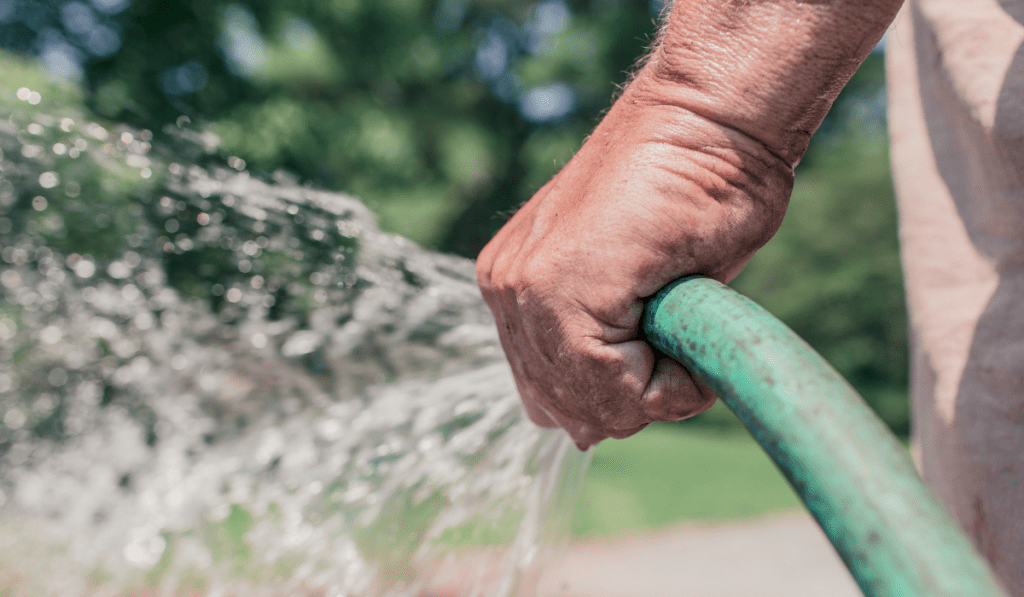 man watering grass