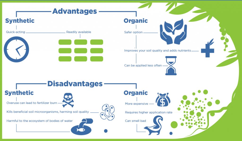 Organic Lawn Fertilizer Sodlawn