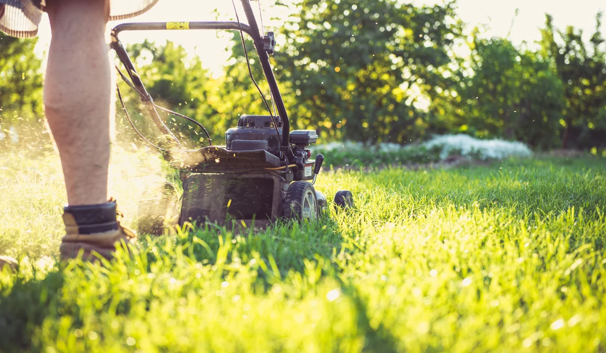 Lawn mowing grass