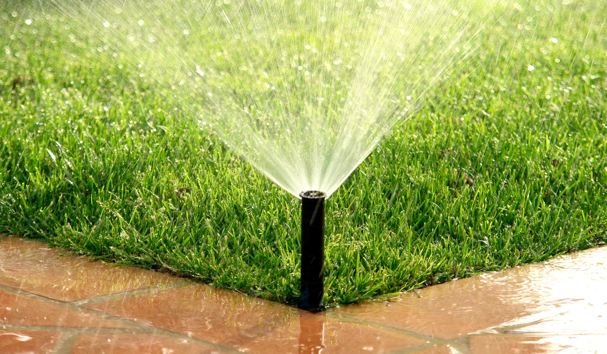 Sprinkler watering grass