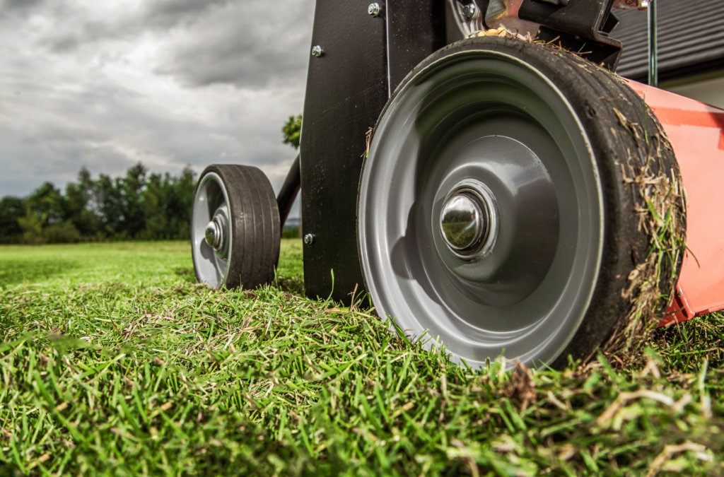 Grass Lawn Aerator Close Up