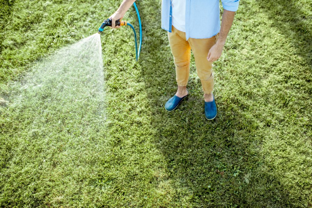 man watering lawn