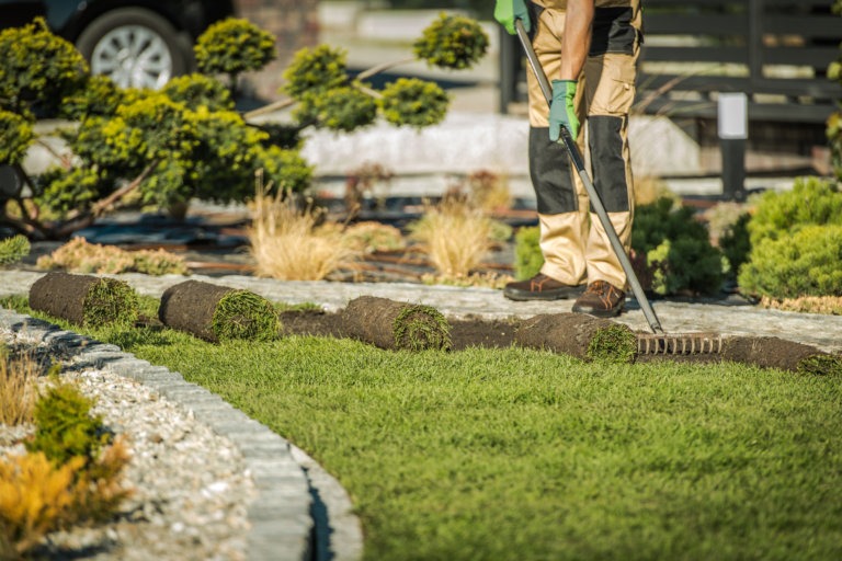 BEST GRASS TO PLANT IN CENTRAL CALIFORNIA visual data 4
