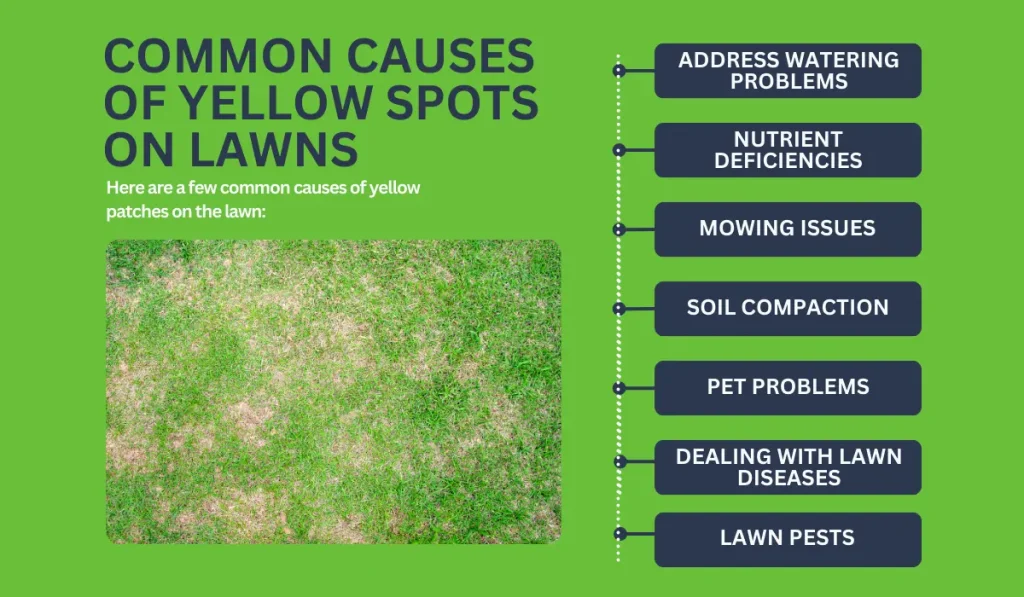 causes of yellow spots on lawns