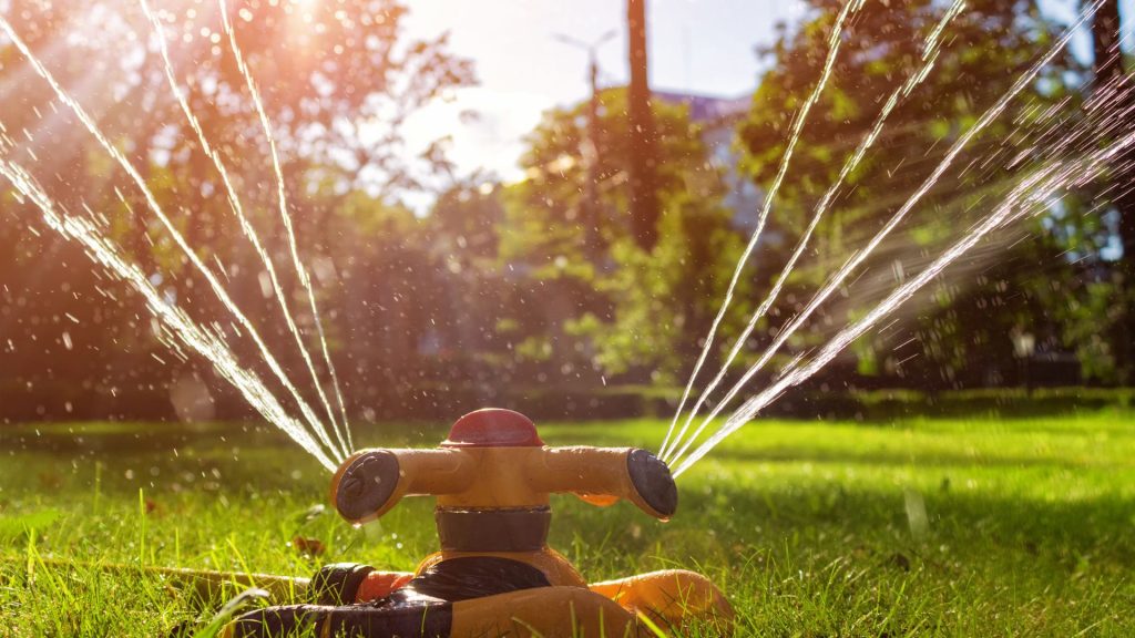 Your Guide To Proper Lawn Care Sodlawn