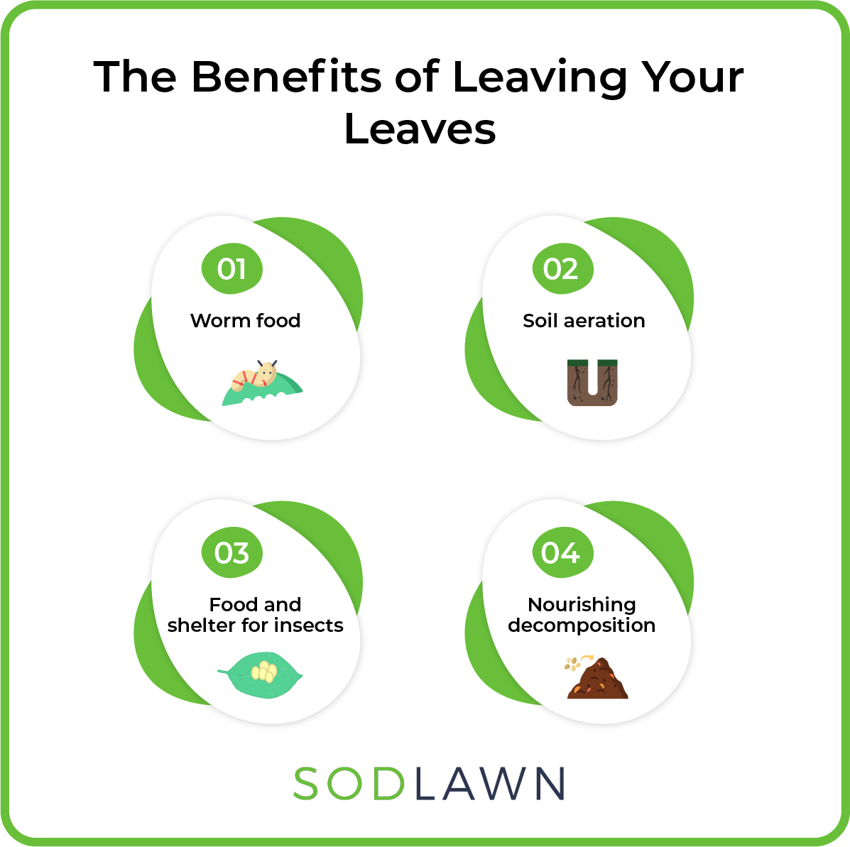 The benefits of leaving your leaves