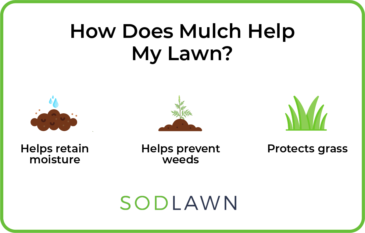 How Does Mulch Help My Lawn