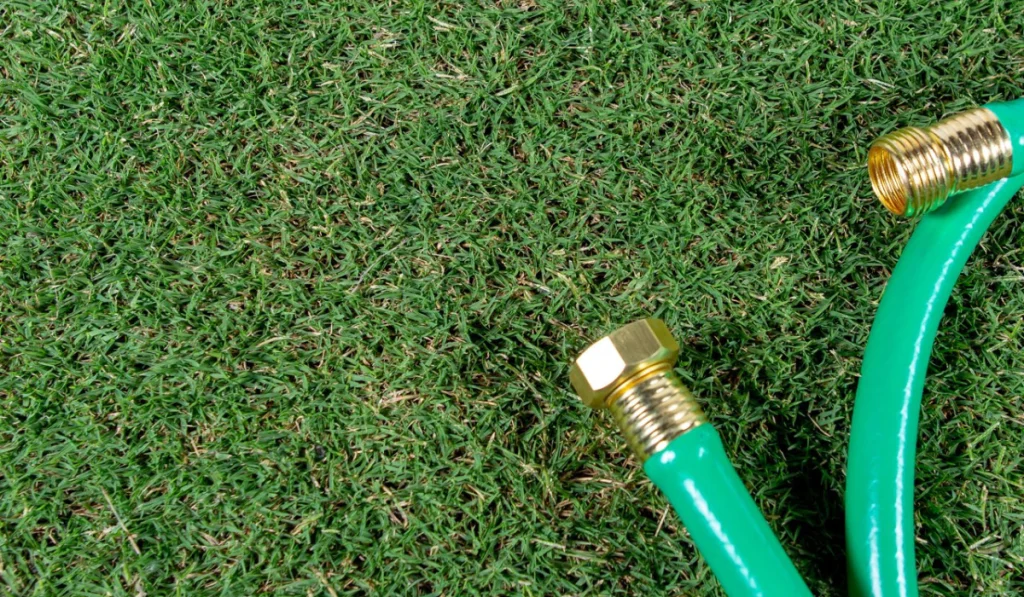 TifTuf Grass: Pros, Cons, and Maintenance