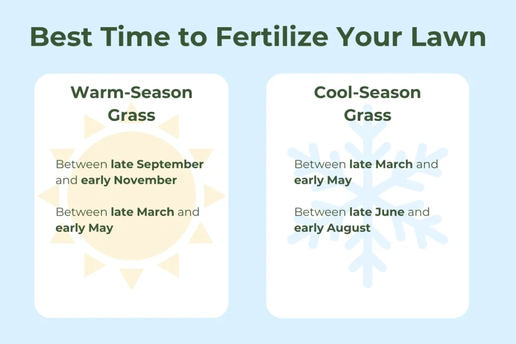 best time to fertilize your lawn