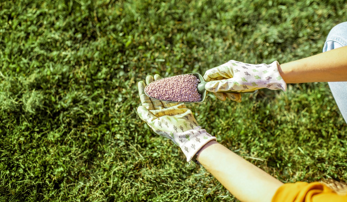 Liquid Vs. Granular: Choosing The Right Fertilizer For Your Lawn - Sodlawn