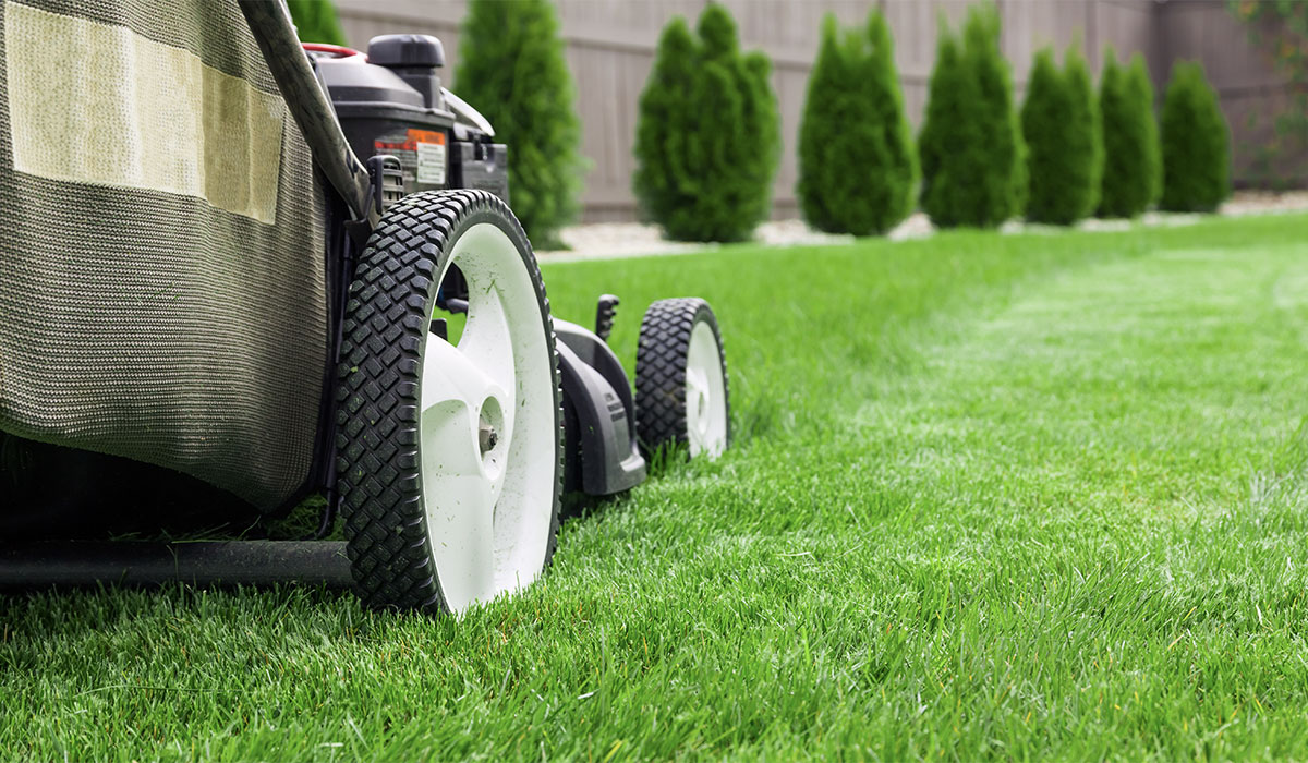 lawn care mowing lawn