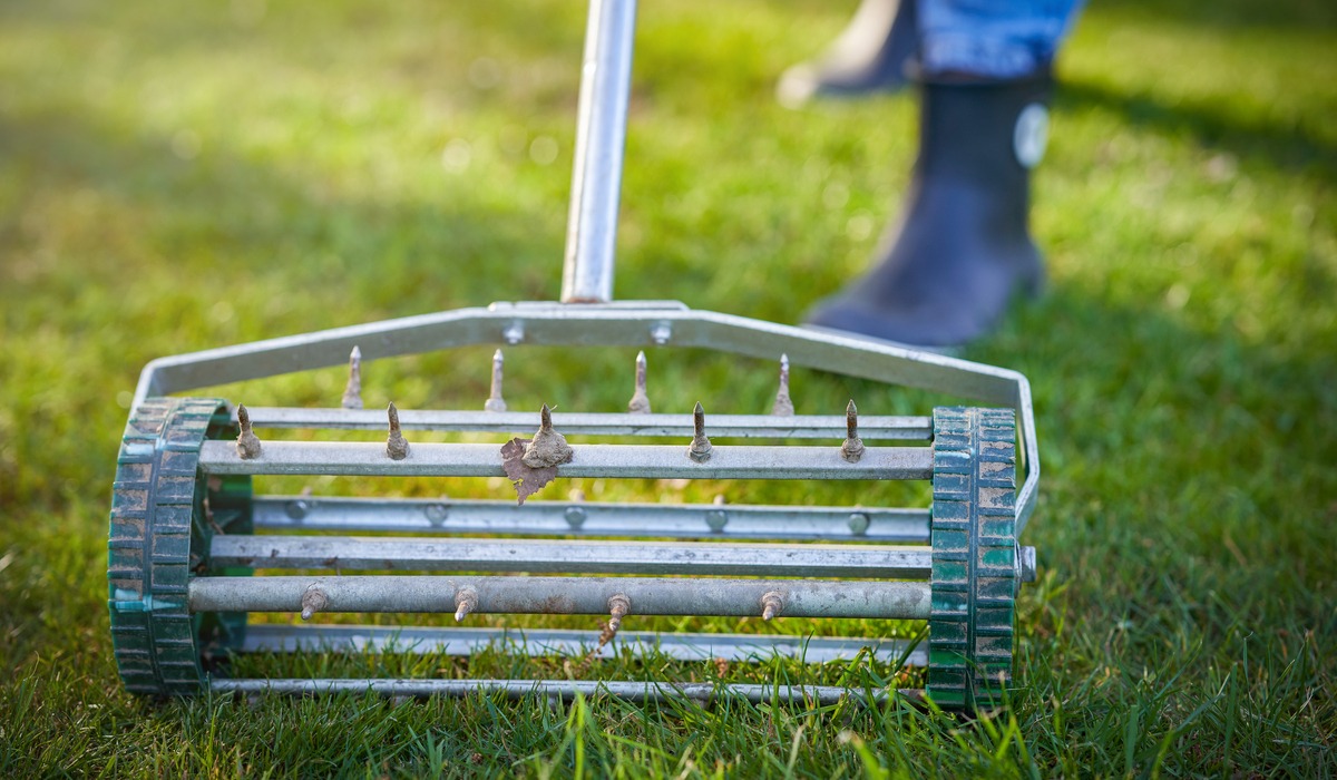 Dethatching Vs Aerating Which Is Best For Your Lawns Health Sodlawn