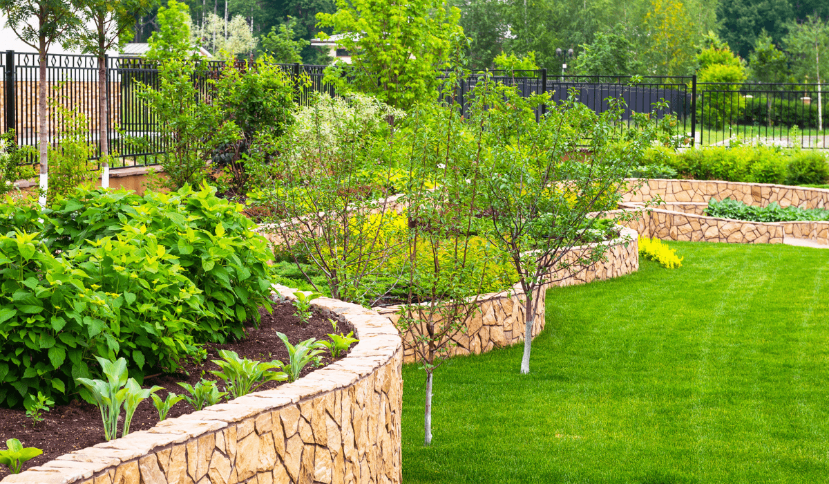 Gilroy Landscaping Requirements Sodlawn