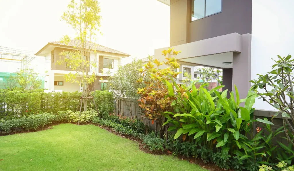 green grass turf in backyard garden landscaping of home