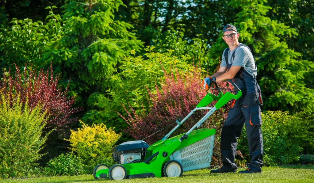 Professional Lawn Mowing