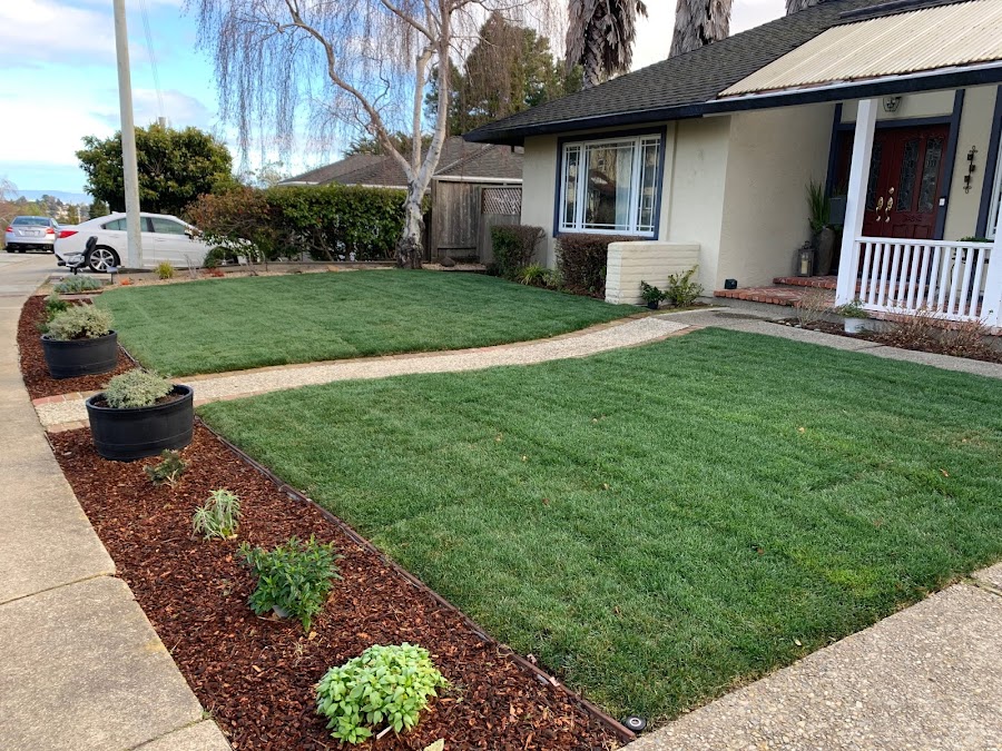 Kevin Greggans's lawn installation review