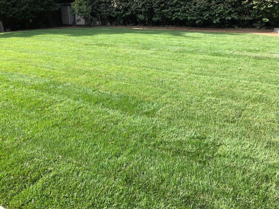 Lyn Cobb's lawn installation review