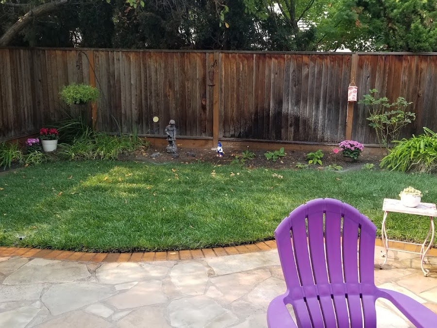 Molly Miklos's lawn installation review