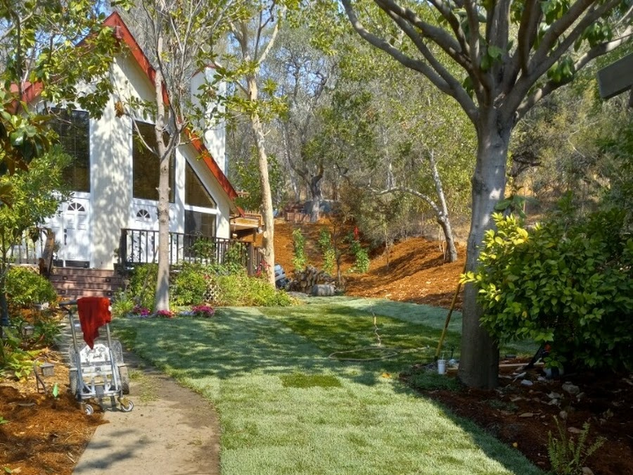Shannon Sanders's lawn installation review