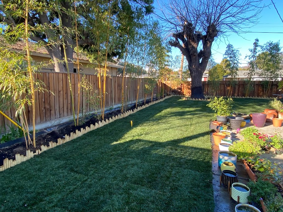Tarini's lawn installation review