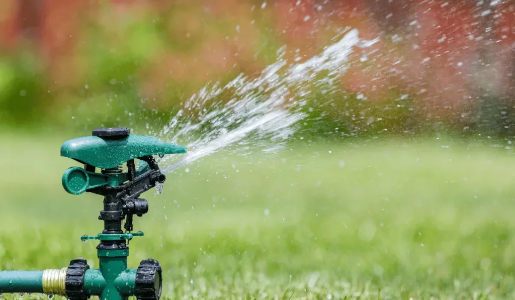 Lawn sprinkler watering grass in yard. Water usage, restrictions and lawncare concept