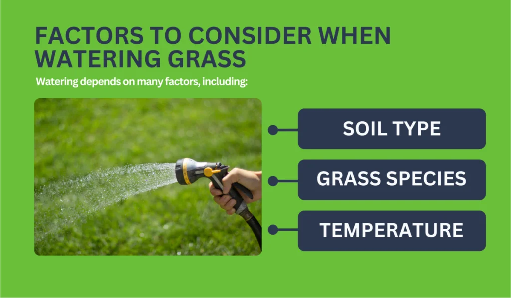 factors to consider when watering grass