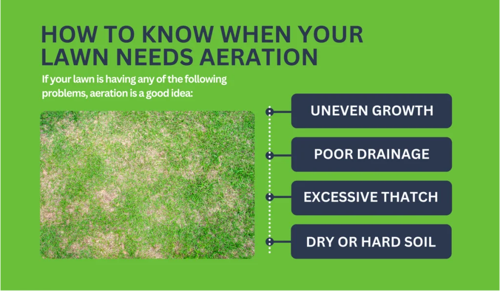 Know When Your Lawn Needs Aeration