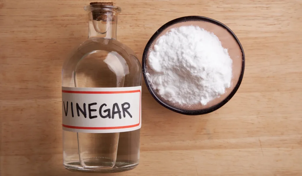 Vinegar in a bottle