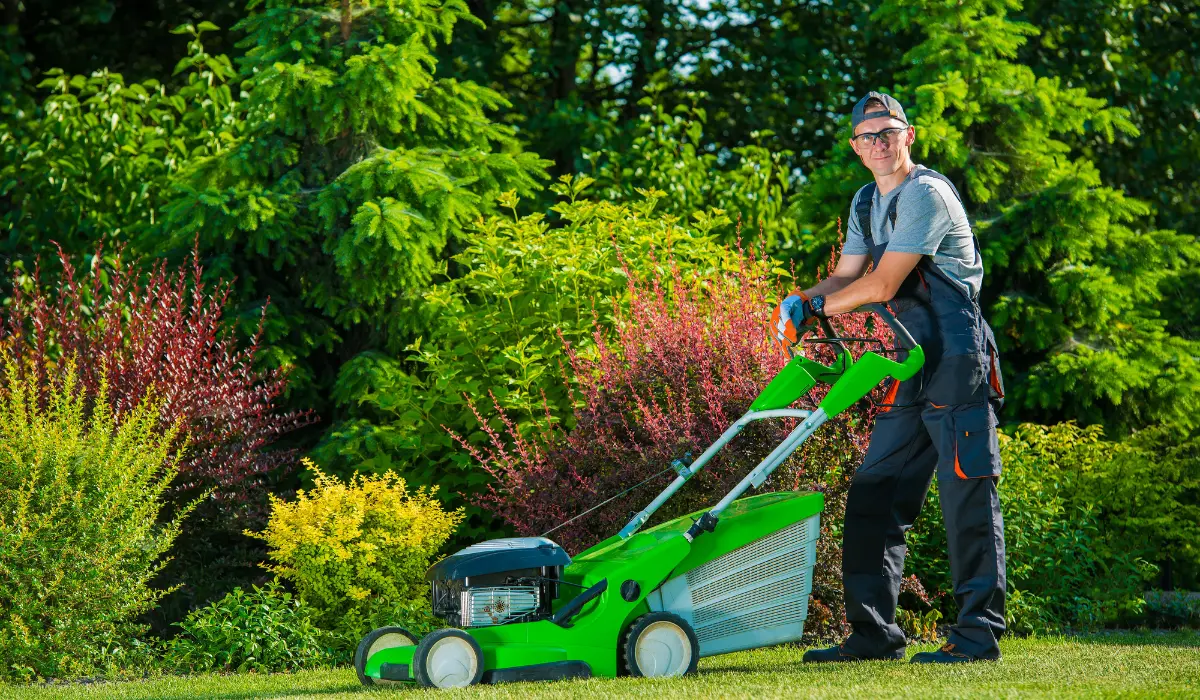 Weed Control Service