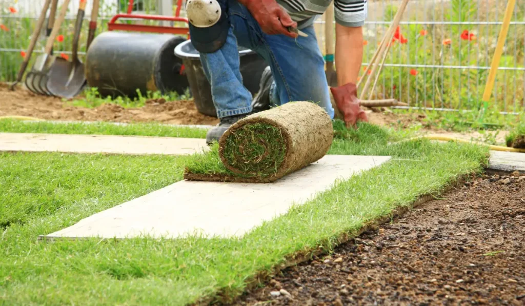 laying sod