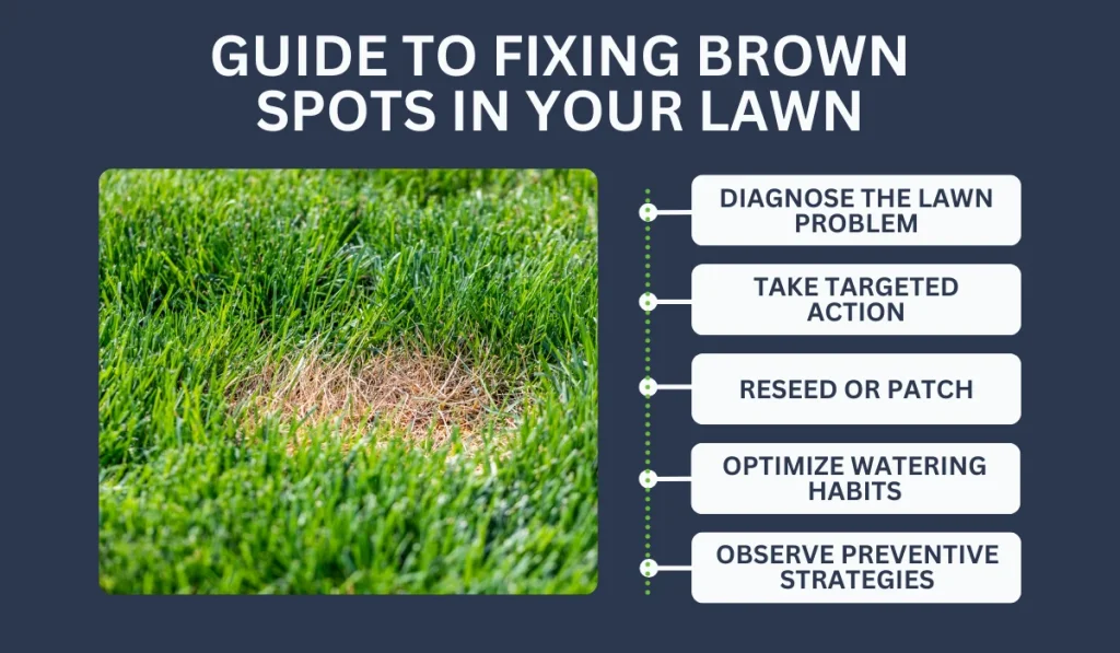 Guide to Fixing Brown Spots in Your Lawn