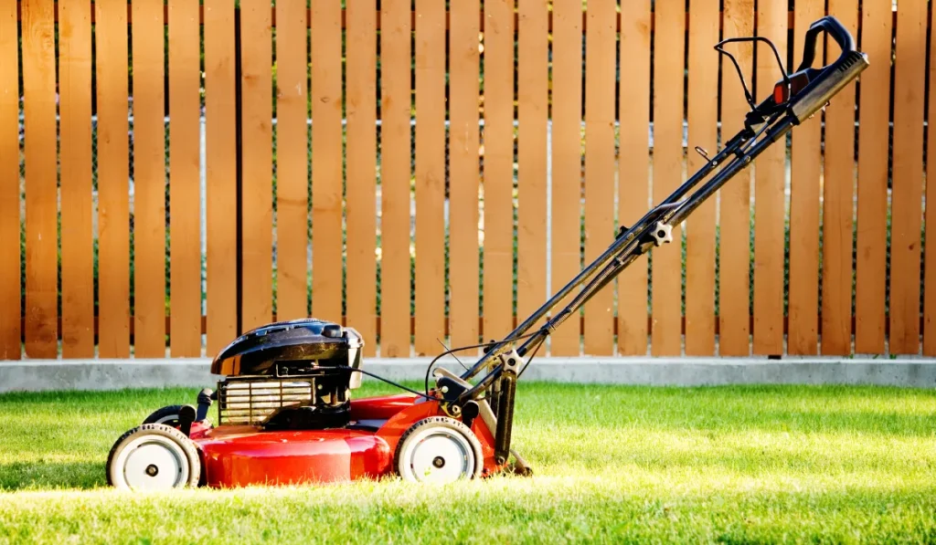 image of push lawn mower