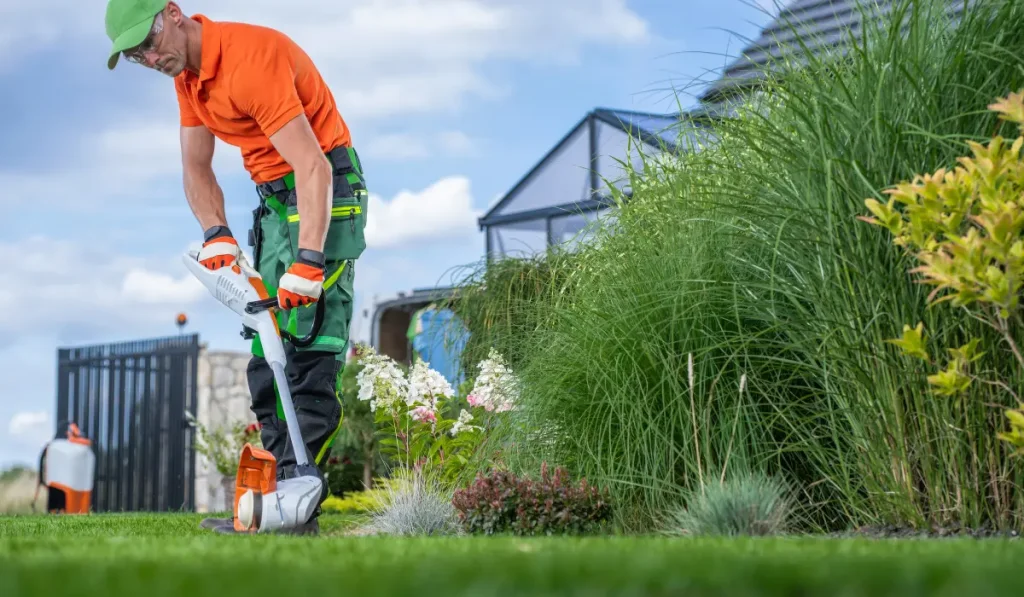 pro lawn edging