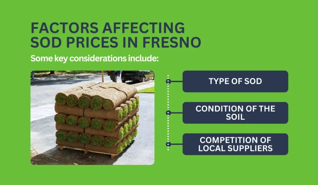 Factors Affecting Sod Prices in Fresno