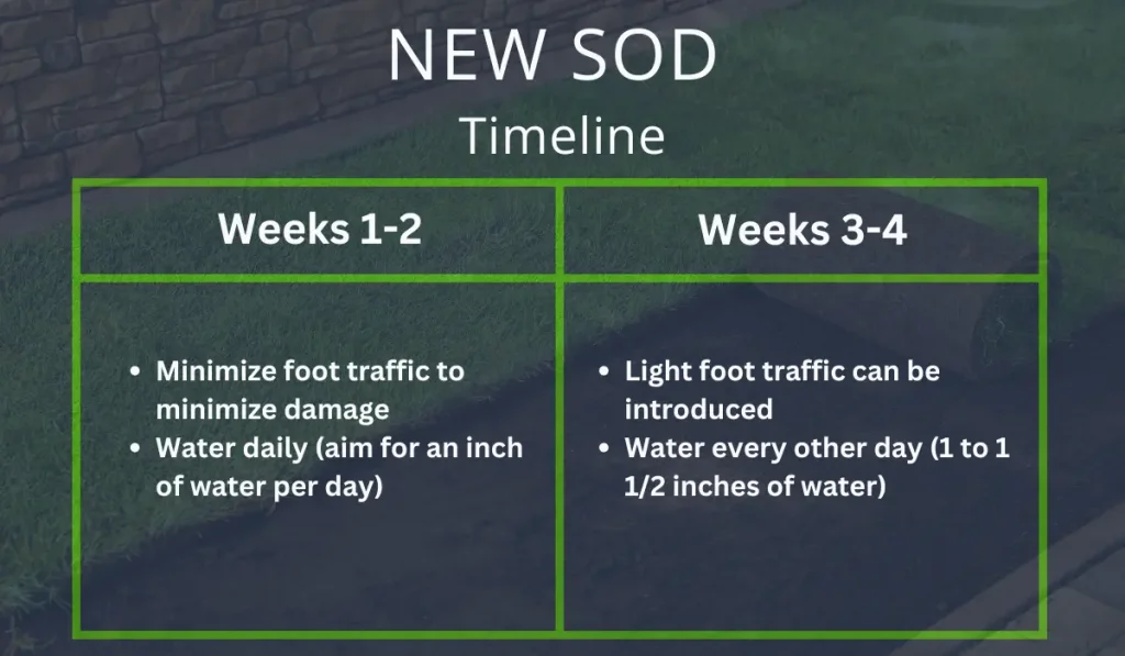 New Sod Timeline