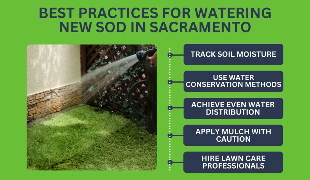 Best Practices for Watering New Sod in Sacramento