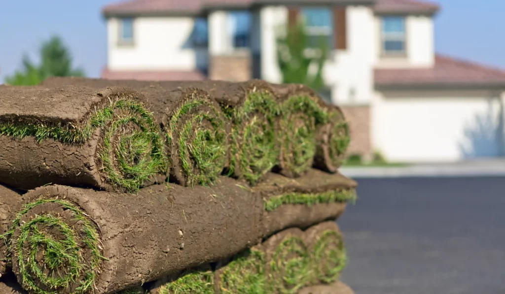 sod rolls to be installed