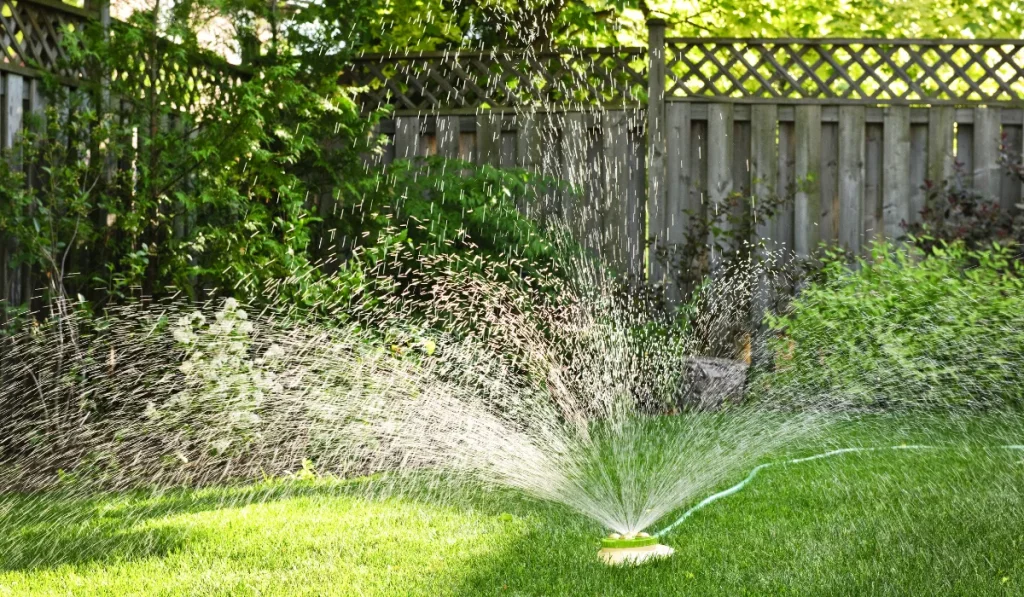 watering new sod